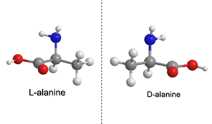 เปรียบเทียบโครงสร้างสามมิติของ L-alanine และ D-alanine ซึ่งเป็นภาพเงาสะท้อนของกันและกัน